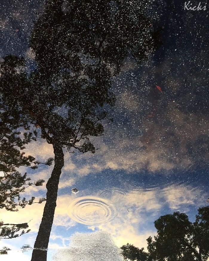 perspective-reflections-optical-illusions-6