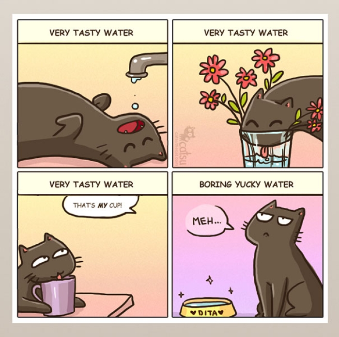 life-with-funny-cats-comics-catsu-15