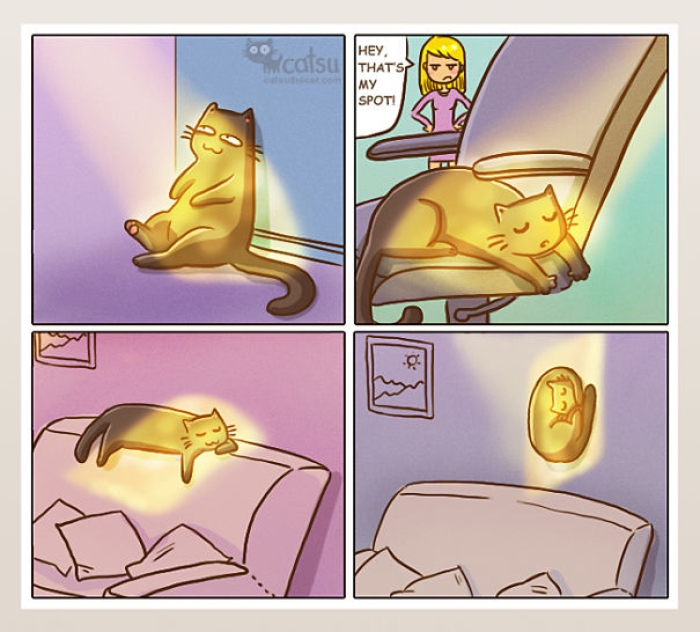 life-with-funny-cats-comics-catsu-13