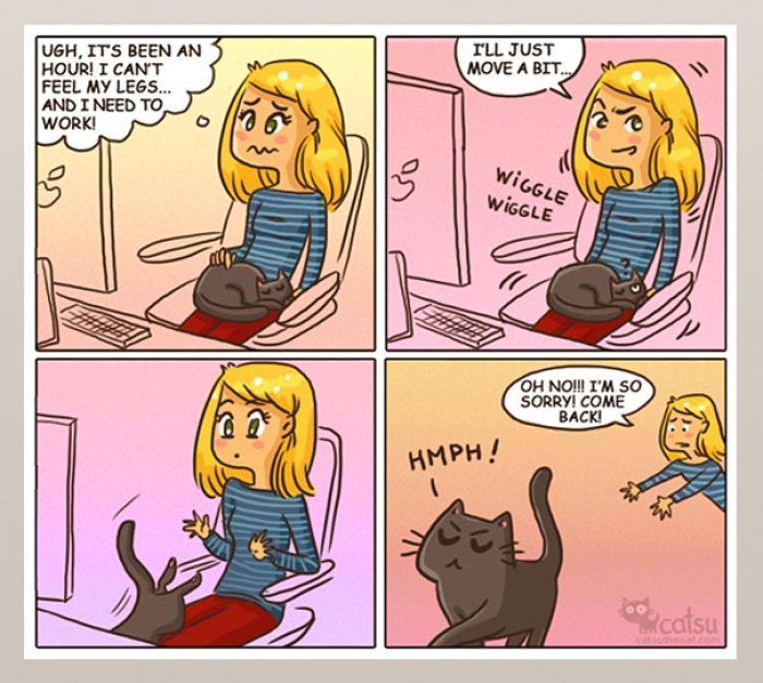 life-with-funny-cats-comics-catsu-6