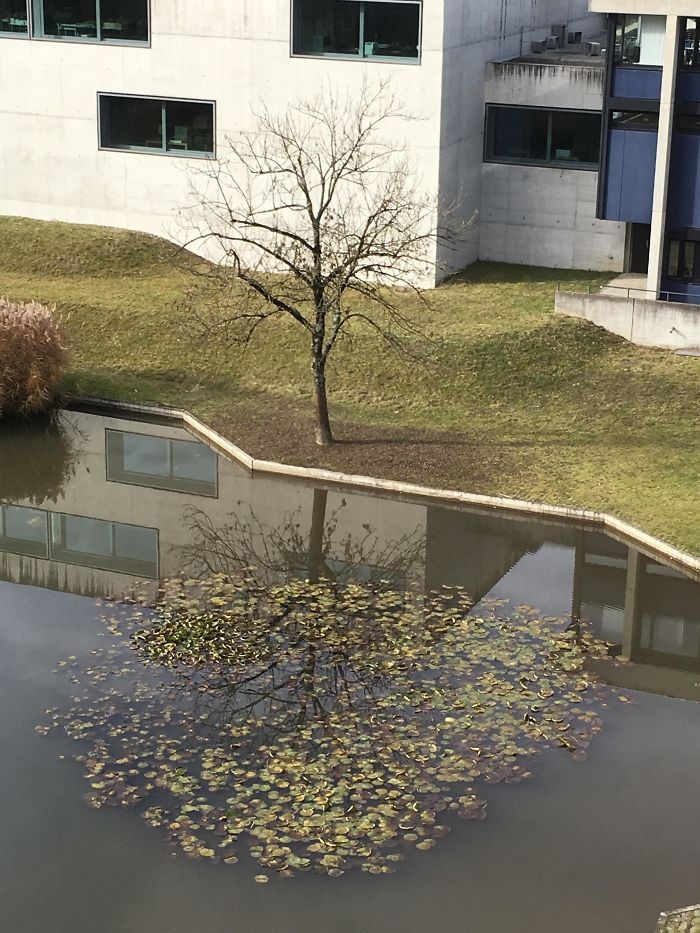 perspective-reflections-optical-illusions-4