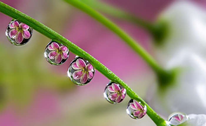 perspective-reflections-optical-illusions-15