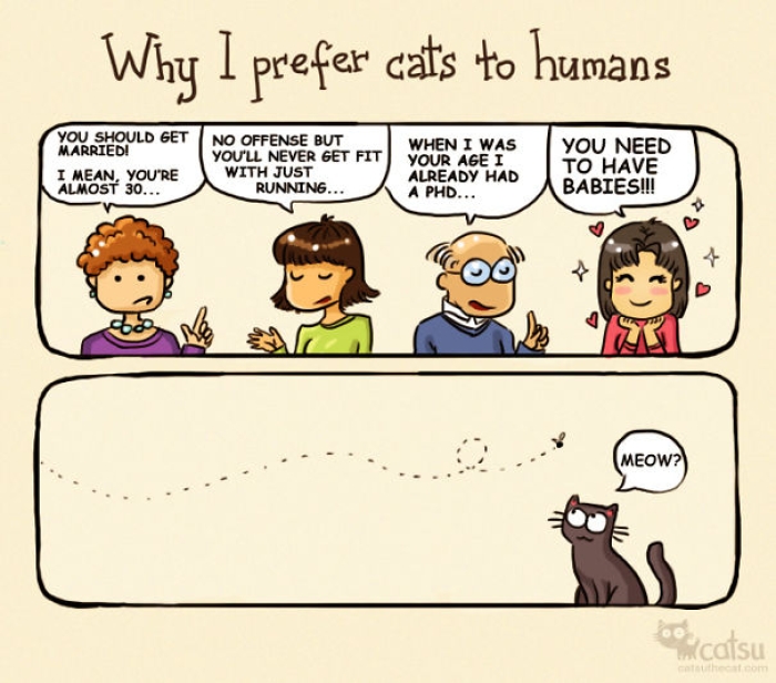 life-with-funny-cats-comics-catsu-5
