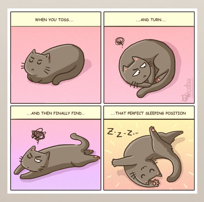 life-with-funny-cats-comics-catsu-12