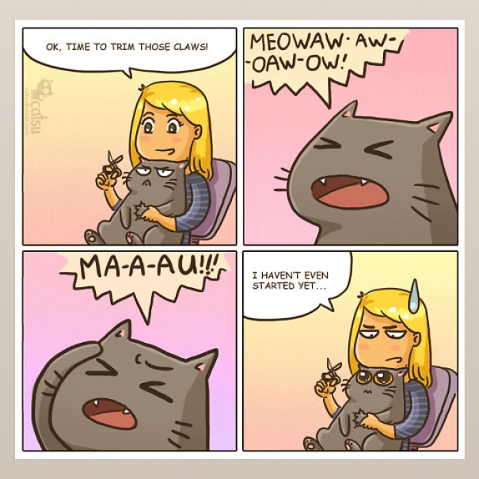 life-with-funny-cats-comics-catsu-1