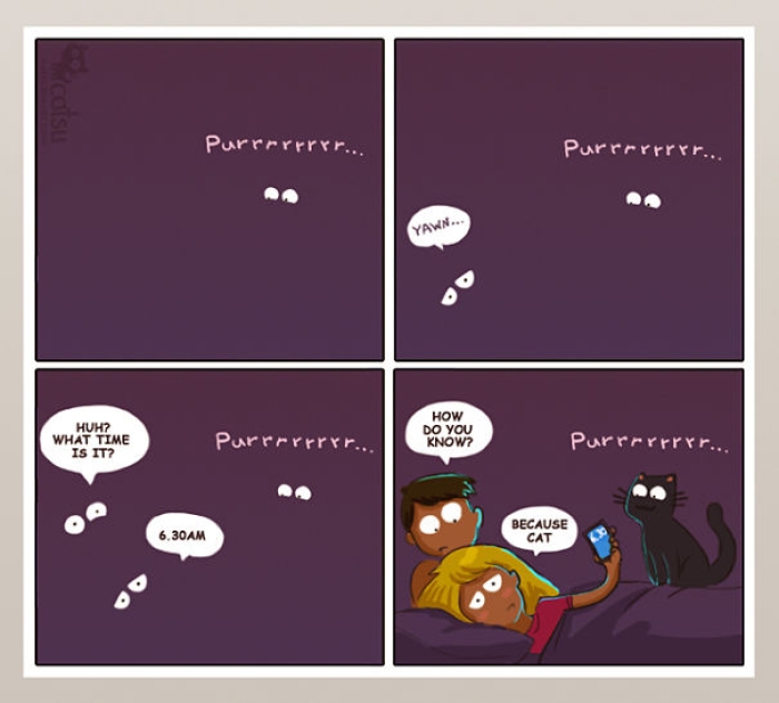 life-with-funny-cats-comics-catsu-3
