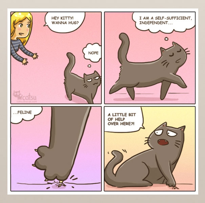 life-with-funny-cats-comics-catsu-8