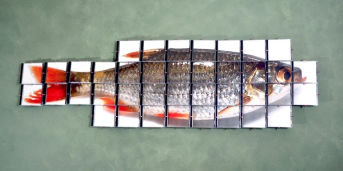 Fish-scales.