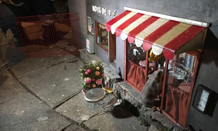 little-mouse-shop-sweden-anonymouse-12