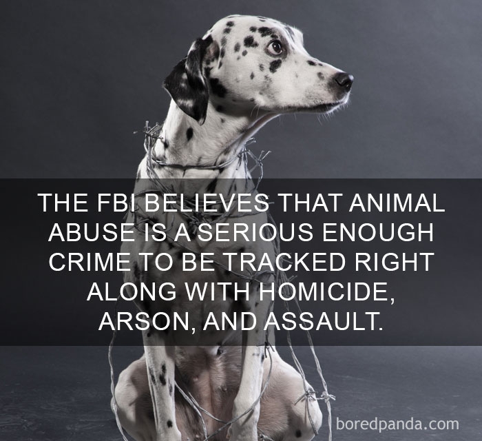 unheard-interesting-facts-6