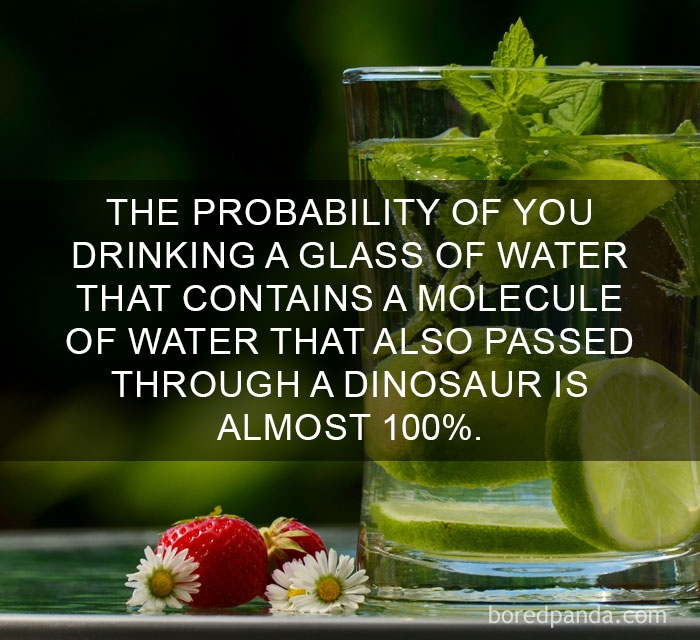 unheard-interesting-facts-10