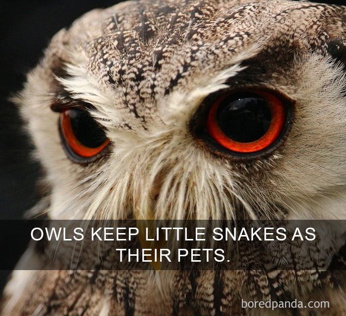 unheard-interesting-facts-9