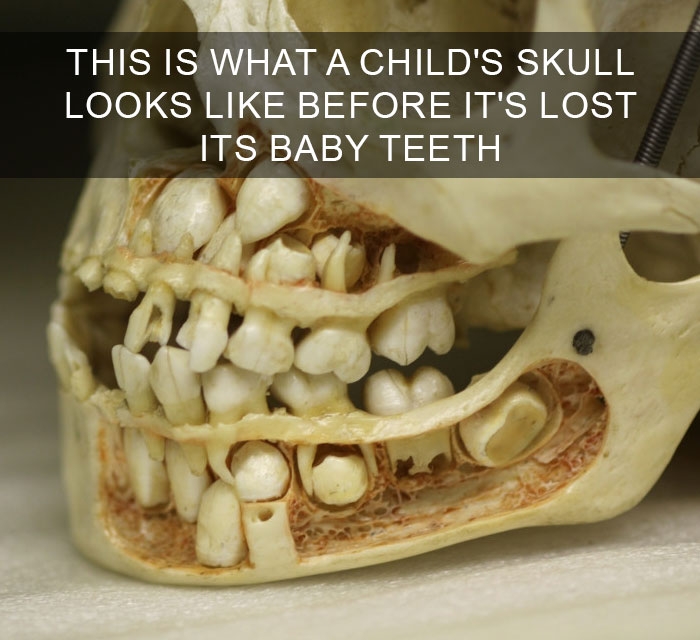 unheard-interesting-facts-4
