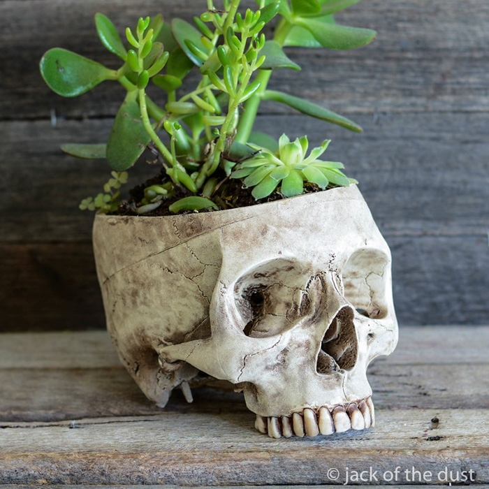 decorative-skulls-jack-dust-andrew-firth-28