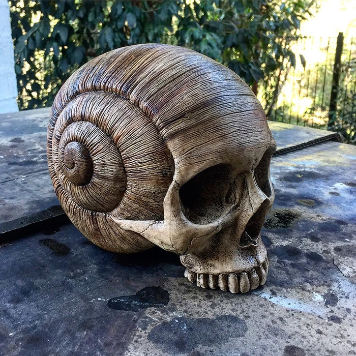 decorative-skulls-jack-dust-andrew-firth-18