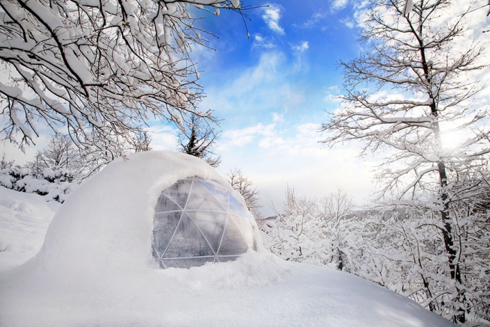 weatherproof-greenhouse-garden-igloos-gardenigloo-13