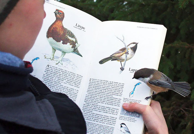 10+ Incredible Coincidences That Are Hard To Believe Have Actually Happened