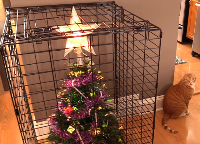 50 People Who Found A Brilliant Way To Save Their Christmas Trees From Their Jerk Cats And Dogs