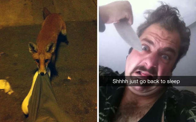 50 Funniest "I Woke Up To This" Moments Ever