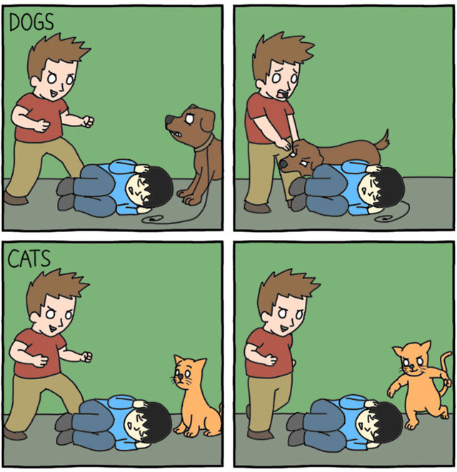 10+ Hilarious Comics That Perfectly Illustrate The Differences Between Cats And Dogs