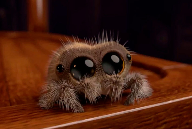 Meet Lucas, The Cutest Animated Spider That Will Cure Your Arachnophobia