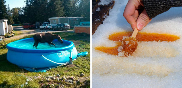 30+ Reasons Why Canada Is The Weirdest Place To Live